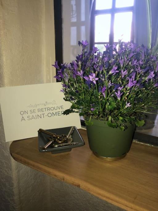L'Omerade: Appartement De Charme Dans Une Maison Audomaroise Saint-Omer  Extérieur photo